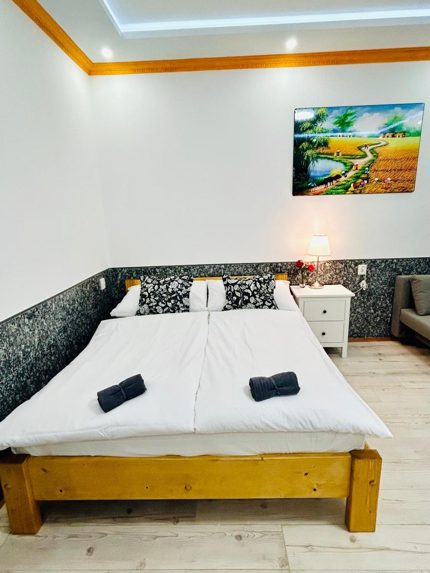 Modern Spacious In Center Prague